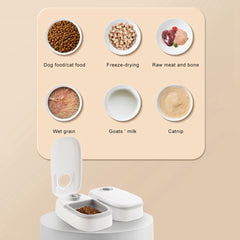 Auto Food Dispenser for Cats & Dogs - Smart  Convenient Feeding Solution - YanaChi Store