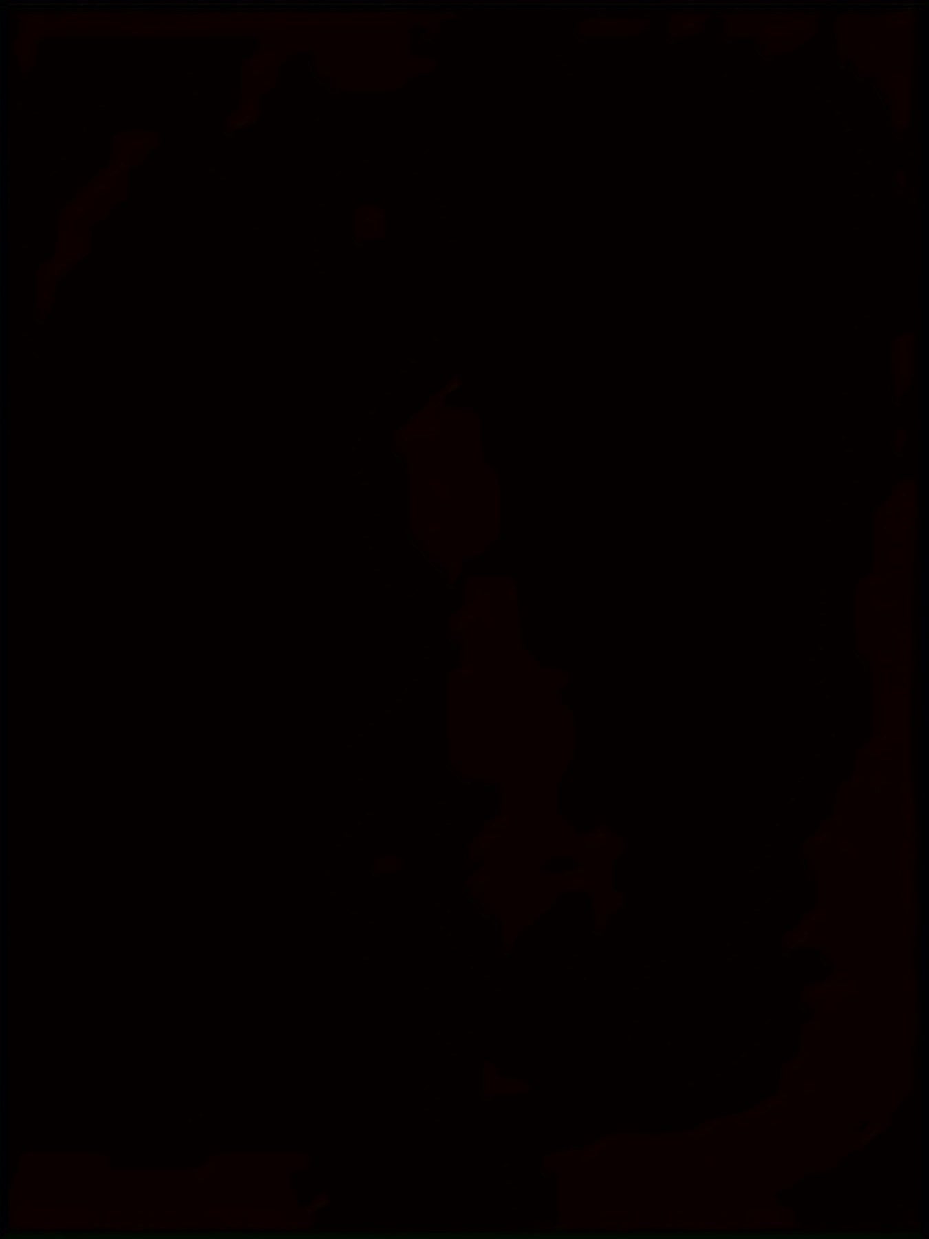 Men's 3D Cool Wolf Contrast T-Shirt – Digital Eye Print Round Neck - YanaChi Store