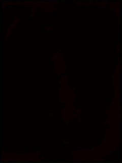 Men's 3D Cool Wolf Contrast T-Shirt – Digital Eye Print Round Neck - YanaChi Store